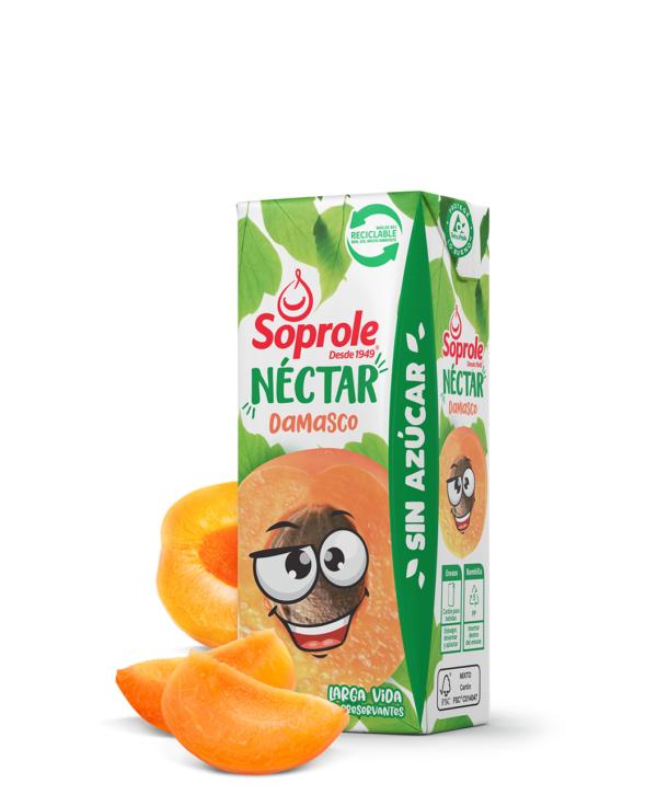 NECTAR SOPROLE DAMASCO 200cc